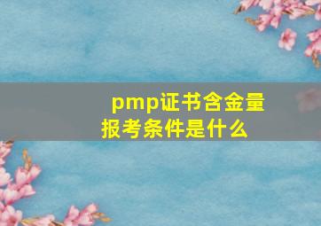 pmp证书含金量 报考条件是什么